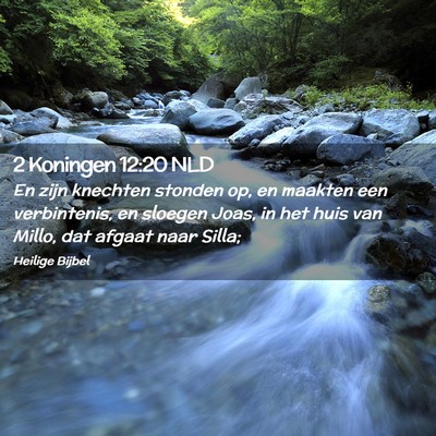Picture 02 - 2 Koningen 12:20 NLD - En zijn knechten stonden op, en maakten een - Bible Verse Picture