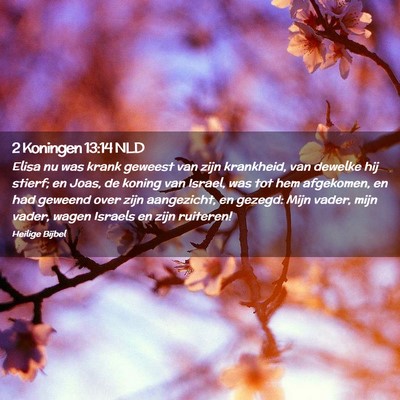 Picture 02 - 2 Koningen 13:14 NLD - Elisa nu was krank geweest van zijn krankheid, - Bible Verse Picture