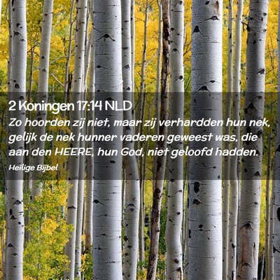 Picture 02 - 2 Koningen 17:14 NLD - Zo hoorden zij niet, maar zij verhardden hun nek, - Bible Verse Picture