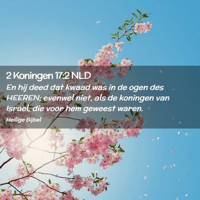 Picture 02 - 2 Koningen 17:2 NLD - En hij deed dat kwaad was in de ogen des HEEREN; - Bible Verse Picture