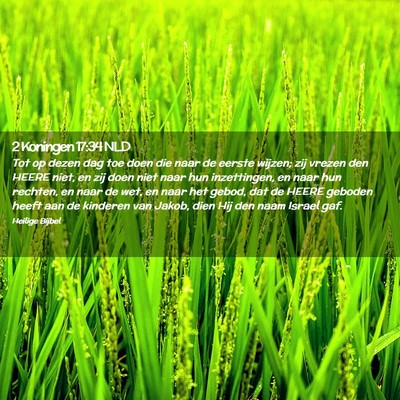 Picture 02 - 2 Koningen 17:34 NLD - Tot op dezen dag toe doen die naar de eerste - Bible Verse Picture