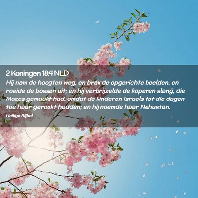 Picture 02 - 2 Koningen 18:4 NLD - Hij nam de hoogten weg, en brak de opgerichte - Bible Verse Picture