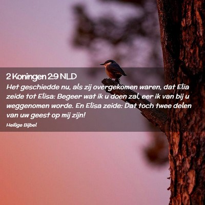 Picture 02 - 2 Koningen 2:9 NLD - Het geschiedde nu, als zij overgekomen waren, dat - Bible Verse Picture