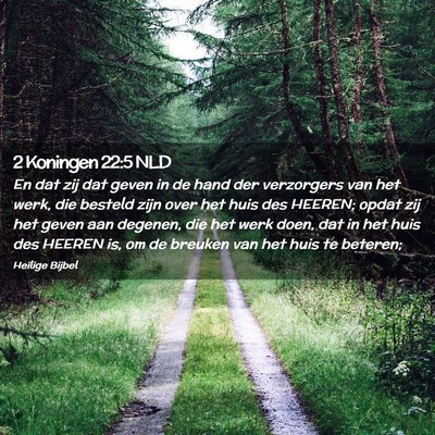 Picture 02 - 2 Koningen 22:5 NLD - En dat zij dat geven in de hand der verzorgers - Bible Verse Picture