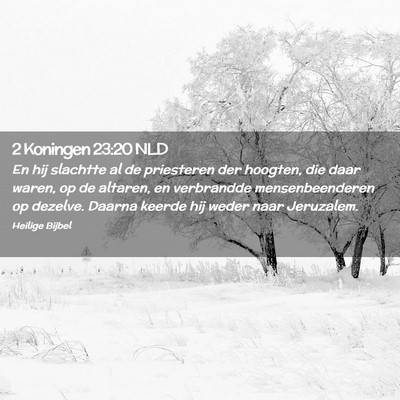 Picture 02 - 2 Koningen 23:20 NLD - En hij slachtte al de priesteren der hoogten, die - Bible Verse Picture