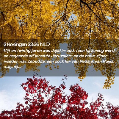 Picture 02 - 2 Koningen 23:36 NLD - Vijf en twintig jaren was Jojakim oud, toen hij - Bible Verse Picture