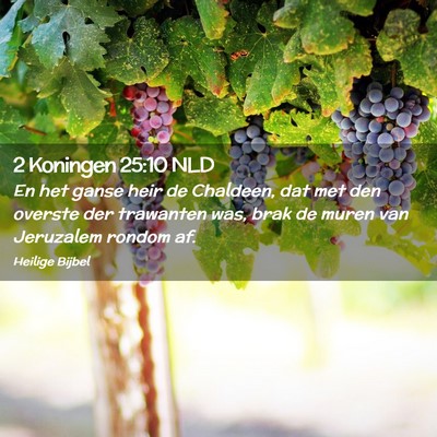 Picture 02 - 2 Koningen 25:10 NLD - En het ganse heir de Chaldeen, dat met den - Bible Verse Picture