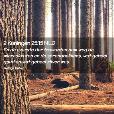 Picture 02 - 2 Koningen 25:15 NLD - En de overste der trawanten nam weg de - Bible Verse Picture