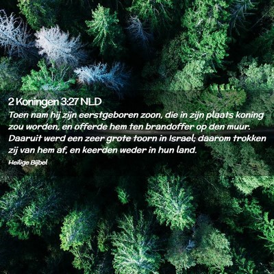 Picture 02 - 2 Koningen 3:27 NLD - Toen nam hij zijn eerstgeboren zoon, die in zijn - Bible Verse Picture