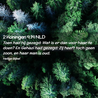Picture 02 - 2 Koningen 4:14 NLD - Toen had hij gezegd: Wat is er dan voor haar te - Bible Verse Picture