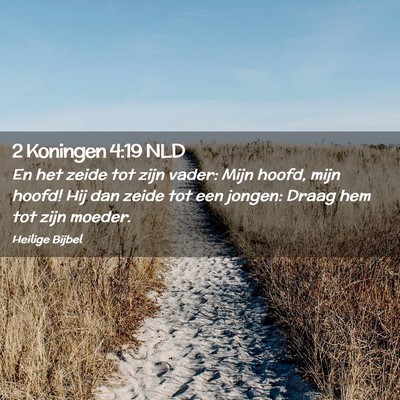 Picture 02 - 2 Koningen 4:19 NLD - En het zeide tot zijn vader: Mijn hoofd, mijn - Bible Verse Picture
