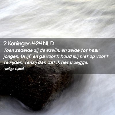 Picture 02 - 2 Koningen 4:24 NLD - Toen zadelde zij de ezelin, en zeide tot haar - Bible Verse Picture