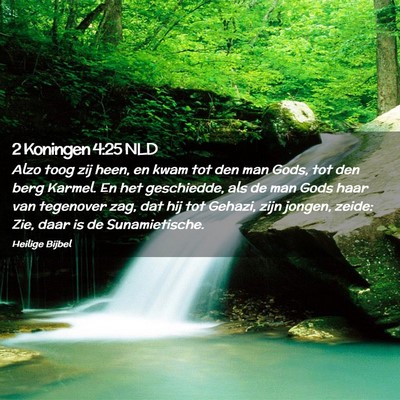 Picture 02 - 2 Koningen 4:25 NLD - Alzo toog zij heen, en kwam tot den man Gods, tot - Bible Verse Picture