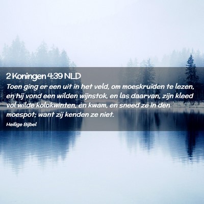 Picture 02 - 2 Koningen 4:39 NLD - Toen ging er een uit in het veld, om moeskruiden - Bible Verse Picture