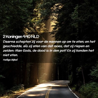 Picture 02 - 2 Koningen 4:40 NLD - Daarna schepten zij voor de mannen op om te eten; - Bible Verse Picture