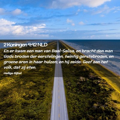 Picture 02 - 2 Koningen 4:42 NLD - En er kwam een man van Baal-Salisa, en bracht den - Bible Verse Picture