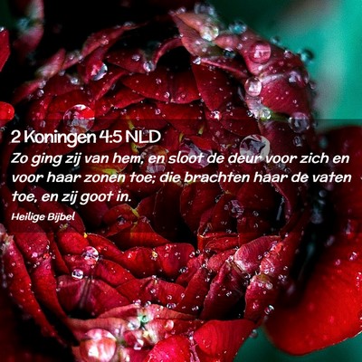 Picture 02 - 2 Koningen 4:5 NLD - Zo ging zij van hem, en sloot de deur voor zich - Bible Verse Picture