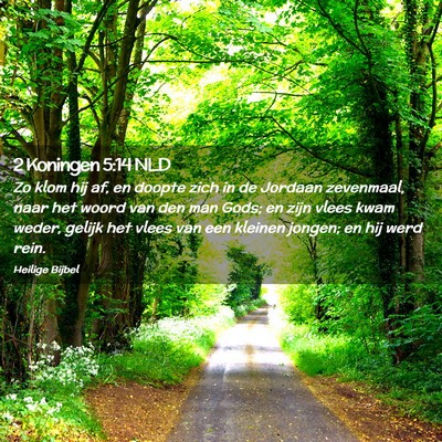 Picture 02 - 2 Koningen 5:14 NLD - Zo klom hij af, en doopte zich in de Jordaan - Bible Verse Picture