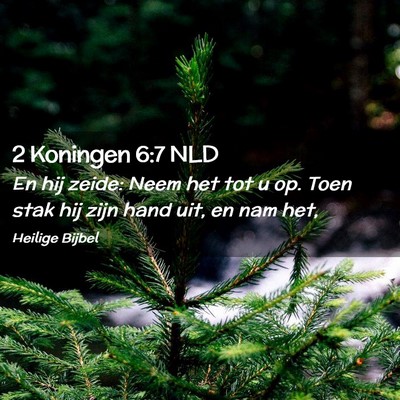 Picture 02 - 2 Koningen 6:7 NLD - En hij zeide: Neem het tot u op. Toen stak hij - Bible Verse Picture