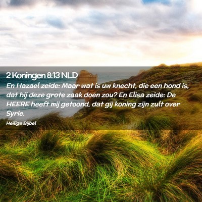 Picture 02 - 2 Koningen 8:13 NLD - En Hazael zeide: Maar wat is uw knecht, die een - Bible Verse Picture
