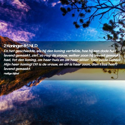 Picture 02 - 2 Koningen 8:5 NLD - En het geschiedde, als hij den koning vertelde, - Bible Verse Picture