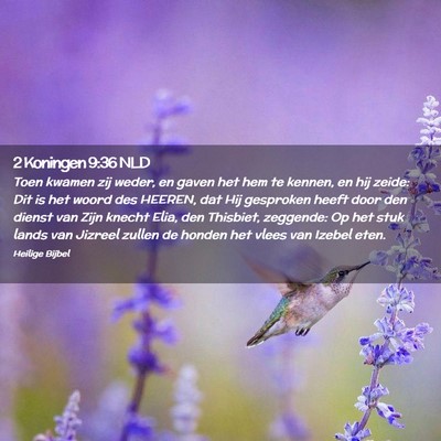 Picture 02 - 2 Koningen 9:36 NLD - Toen kwamen zij weder, en gaven het hem te - Bible Verse Picture