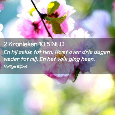 Picture 02 - 2 Kronieken 10:5 NLD - En hij zeide tot hen: Komt over drie dagen weder - Bible Verse Picture