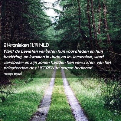Picture 02 - 2 Kronieken 11:14 NLD - Want de Levieten verlieten hun voorsteden en hun - Bible Verse Picture