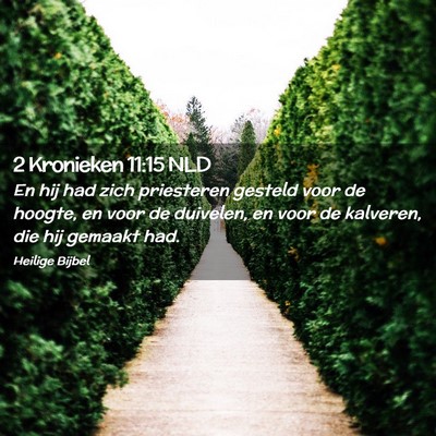Picture 02 - 2 Kronieken 11:15 NLD - En hij had zich priesteren gesteld voor de - Bible Verse Picture