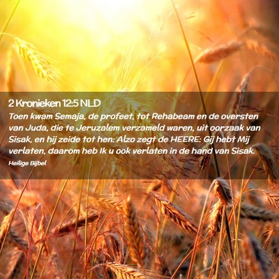 Picture 02 - 2 Kronieken 12:5 NLD - Toen kwam Semaja, de profeet, tot Rehabeam en de - Bible Verse Picture