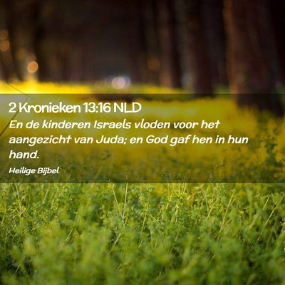 Picture 02 - 2 Kronieken 13:16 NLD - En de kinderen Israels vloden voor het aangezicht - Bible Verse Picture