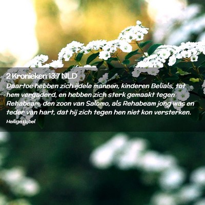 Picture 02 - 2 Kronieken 13:7 NLD - Daartoe hebben zich ijdele mannen, kinderen - Bible Verse Picture