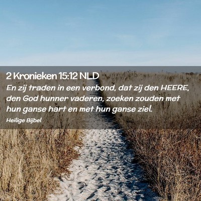 Picture 02 - 2 Kronieken 15:12 NLD - En zij traden in een verbond, dat zij den HEERE, - Bible Verse Picture
