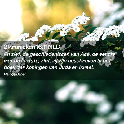 Picture 02 - 2 Kronieken 16:11 NLD - En ziet, de geschiedenissen van Asa, de eerste - Bible Verse Picture