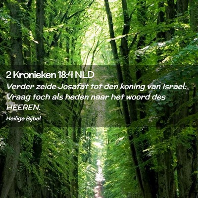 Picture 02 - 2 Kronieken 18:4 NLD - Verder zeide Josafat tot den koning van Israel: - Bible Verse Picture