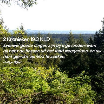 Picture 02 - 2 Kronieken 19:3 NLD - Evenwel goede dingen zijn bij u gevonden; want - Bible Verse Picture