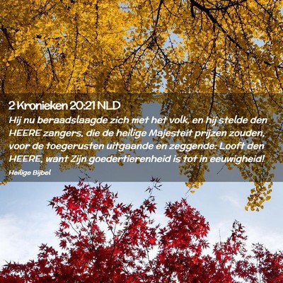 Picture 02 - 2 Kronieken 20:21 NLD - Hij nu beraadslaagde zich met het volk, en hij - Bible Verse Picture
