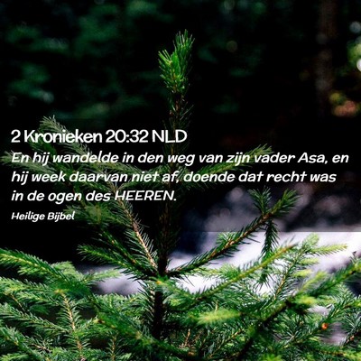 Picture 02 - 2 Kronieken 20:32 NLD - En hij wandelde in den weg van zijn vader Asa, en - Bible Verse Picture