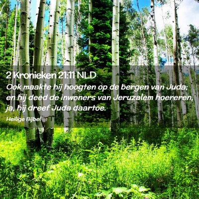 Picture 02 - 2 Kronieken 21:11 NLD - Ook maakte hij hoogten op de bergen van Juda; en - Bible Verse Picture