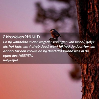 Picture 02 - 2 Kronieken 21:6 NLD - En hij wandelde in den weg der koningen van - Bible Verse Picture