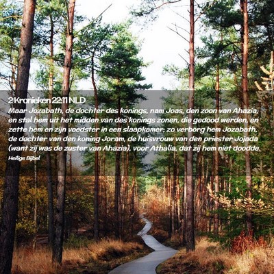 Picture 02 - 2 Kronieken 22:11 NLD - Maar Jozabath, de dochter des konings, nam Joas, - Bible Verse Picture