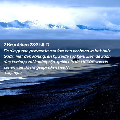 Picture 02 - 2 Kronieken 23:3 NLD - En die ganse gemeente maakte een verbond in het - Bible Verse Picture