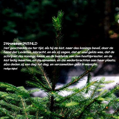 Picture 02 - 2 Kronieken 24:11 NLD - Het geschiedde nu ter tijd, als hij de kist, naar - Bible Verse Picture