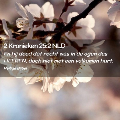 Picture 02 - 2 Kronieken 25:2 NLD - En hij deed dat recht was in de ogen des HEEREN, - Bible Verse Picture