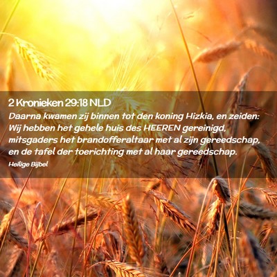 Picture 02 - 2 Kronieken 29:18 NLD - Daarna kwamen zij binnen tot den koning Hizkia, - Bible Verse Picture