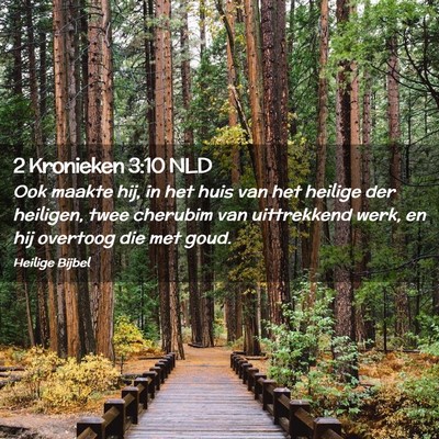 Picture 02 - 2 Kronieken 3:10 NLD - Ook maakte hij, in het huis van het heilige der - Bible Verse Picture