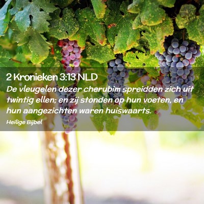 Picture 02 - 2 Kronieken 3:13 NLD - De vleugelen dezer cherubim spreidden zich uit - Bible Verse Picture