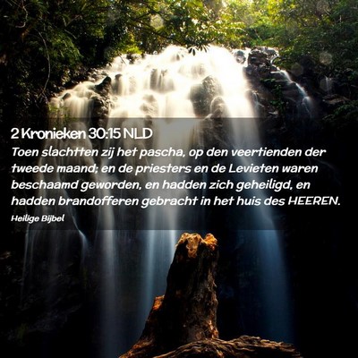 Picture 02 - 2 Kronieken 30:15 NLD - Toen slachtten zij het pascha, op den veertienden - Bible Verse Picture