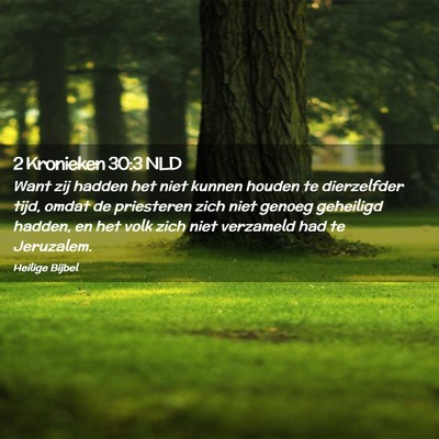 Picture 02 - 2 Kronieken 30:3 NLD - Want zij hadden het niet kunnen houden te - Bible Verse Picture