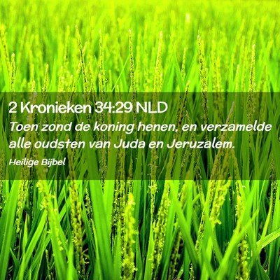 Picture 02 - 2 Kronieken 34:29 NLD - Toen zond de koning henen, en verzamelde alle - Bible Verse Picture